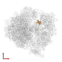 Small ribosomal subunit protein uS11c in PDB entry 5mmm, assembly 1, front view.