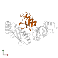 Ubiquitin in PDB entry 5mnj, assembly 1, front view.