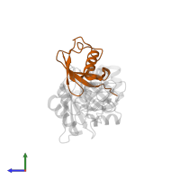 Ubiquitin in PDB entry 5mnj, assembly 1, side view.