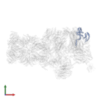 26S proteasome regulatory subunit RPN12 in PDB entry 5mpb, assembly 1, front view.