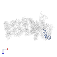 26S proteasome regulatory subunit RPN12 in PDB entry 5mpb, assembly 1, top view.