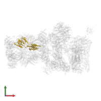 Proteasome subunit beta type-4 in PDB entry 5mpc, assembly 1, front view.