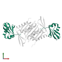 Molybdopterin synthase sulfur carrier subunit in PDB entry 5mpo, assembly 1, front view.