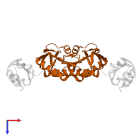 Molybdopterin synthase catalytic subunit in PDB entry 5mpo, assembly 1, top view.