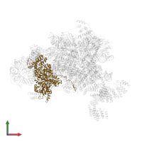Pre-mRNA-splicing factor SNU114 in PDB entry 5mps, assembly 1, front view.