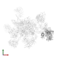 RNA helicase aquarius in PDB entry 5mqf, assembly 1, front view.