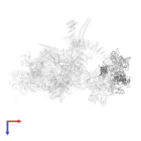 RNA helicase aquarius in PDB entry 5mqf, assembly 1, top view.