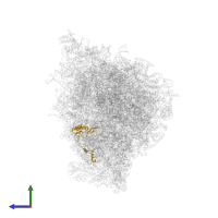 Large ribosomal subunit protein uL16m in PDB entry 5mrc, assembly 1, side view.