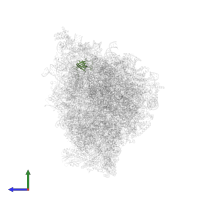 Large ribosomal subunit protein bL19m in PDB entry 5mrc, assembly 1, side view.