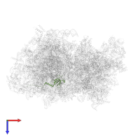 Large ribosomal subunit protein bL19m in PDB entry 5mrc, assembly 1, top view.