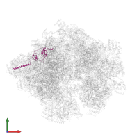 Large ribosomal subunit protein uL23m in PDB entry 5mrc, assembly 1, front view.