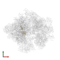 Large ribosomal subunit protein bL28m in PDB entry 5mrc, assembly 1, front view.