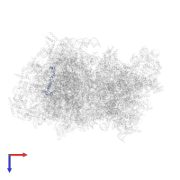 Large ribosomal subunit protein bL32m in PDB entry 5mrc, assembly 1, top view.