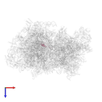 Large ribosomal subunit protein bL33m in PDB entry 5mrc, assembly 1, top view.