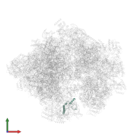 Large ribosomal subunit protein mL40 in PDB entry 5mrc, assembly 1, front view.