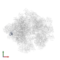 Large ribosomal subunit protein mL43 in PDB entry 5mrc, assembly 1, front view.