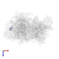 Large ribosomal subunit protein mL43 in PDB entry 5mrc, assembly 1, top view.