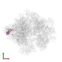 Large ribosomal subunit protein mL44 in PDB entry 5mrc, assembly 1, front view.