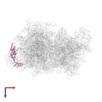 Large ribosomal subunit protein mL44 in PDB entry 5mrc, assembly 1, top view.