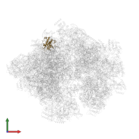 Large ribosomal subunit protein mL67 in PDB entry 5mrc, assembly 1, front view.