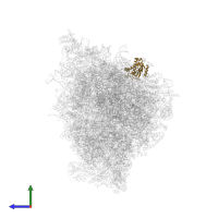 Large ribosomal subunit protein mL67 in PDB entry 5mrc, assembly 1, side view.