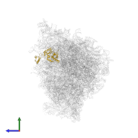 Small ribosomal subunit protein uS4m in PDB entry 5mrc, assembly 1, side view.