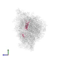 Small ribosomal subunit protein uS5m in PDB entry 5mrc, assembly 1, side view.