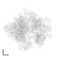 Small ribosomal subunit protein uS14m in PDB entry 5mrc, assembly 1, front view.