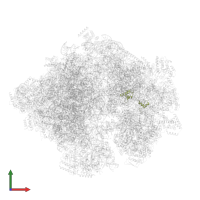 Small ribosomal subunit protein bS18m in PDB entry 5mrc, assembly 1, front view.