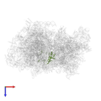 Large ribosomal subunit protein uL5m in PDB entry 5mrc, assembly 1, top view.