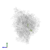 Small ribosomal subunit protein mS37 in PDB entry 5mrc, assembly 1, side view.