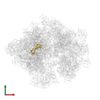 Large ribosomal subunit protein uL6m in PDB entry 5mrc, assembly 1, front view.