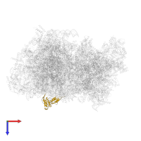 Large ribosomal subunit protein uL6m in PDB entry 5mrc, assembly 1, top view.