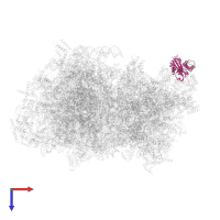 Small ribosomal subunit protein mS43 in PDB entry 5mrc, assembly 1, top view.