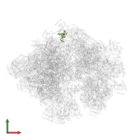 Small ribosomal subunit protein mS27 in PDB entry 5mrc, assembly 1, front view.