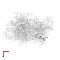 Small ribosomal subunit protein mS46 in PDB entry 5mrc, assembly 1, top view.