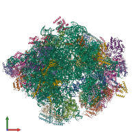 PDB entry 5mre coloured by chain, front view.