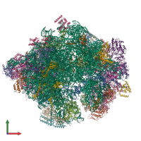 PDB entry 5mrf coloured by chain, front view.