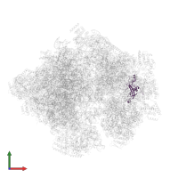 Small ribosomal subunit protein bS1m in PDB entry 5mrf, assembly 1, front view.