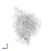 Small ribosomal subunit protein uS13m in PDB entry 5mrf, assembly 1, side view.