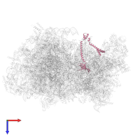 Small ribosomal subunit protein uS17m in PDB entry 5mrf, assembly 1, top view.