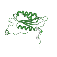 The deposited structure of PDB entry 5mtk contains 1 copy of CATH domain 3.40.50.1460 (Rossmann fold) in Caspase-1 subunit p20. Showing 1 copy in chain A.