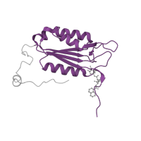 The deposited structure of PDB entry 5mtk contains 1 copy of Pfam domain PF00656 (Caspase domain) in Caspase-1 subunit p20. Showing 1 copy in chain A.