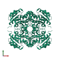 Enoyl-[acyl-carrier-protein] reductase [NADH] in PDB entry 5mtp, assembly 2, front view.