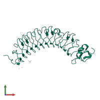 Chondroadherin in PDB entry 5mx1, assembly 1, front view.