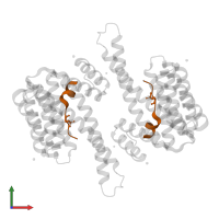 Leucine-rich repeat serine/threonine-protein kinase 2 in PDB entry 5myc, assembly 1, front view.