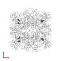 Modified residue HLU in PDB entry 5mz2, assembly 1, front view.