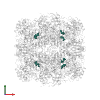 Modified residue KCX in PDB entry 5mz2, assembly 1, front view.