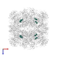 Modified residue KCX in PDB entry 5mz2, assembly 1, top view.