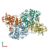 PDB entry 5mzw coloured by chain, front view.
